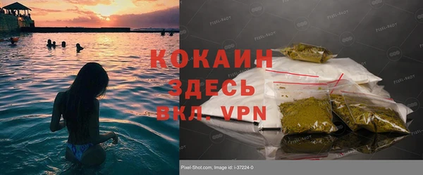 ГАЛЛЮЦИНОГЕННЫЕ ГРИБЫ Ладушкин