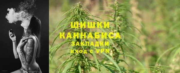 прущие грибы Лихославль