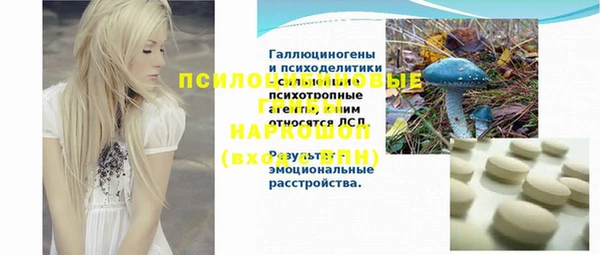 дживик Лагань