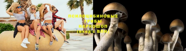 гидропоника Лабытнанги