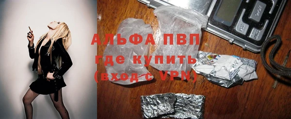 прущие грибы Лихославль