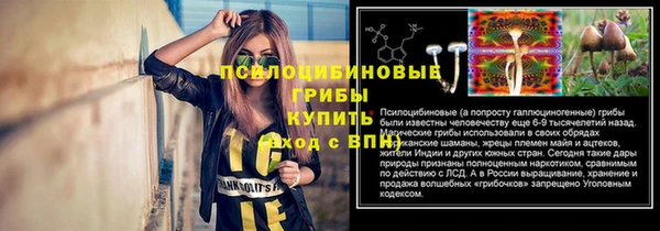 ГАЛЛЮЦИНОГЕННЫЕ ГРИБЫ Ладушкин