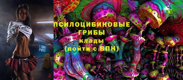 гидропоника Лабытнанги