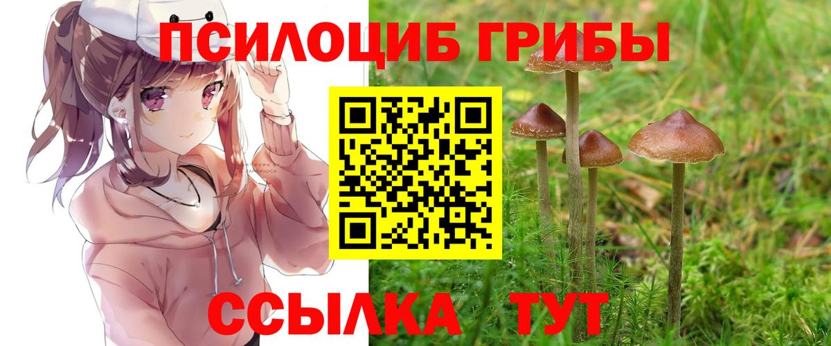 Псилоцибиновые грибы Cubensis  Псилоцибиновые грибы Psilocybine cubensis  Вход с VPN  Павлово 