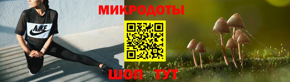 Псилоцибиновые грибы Cubensis Павлово